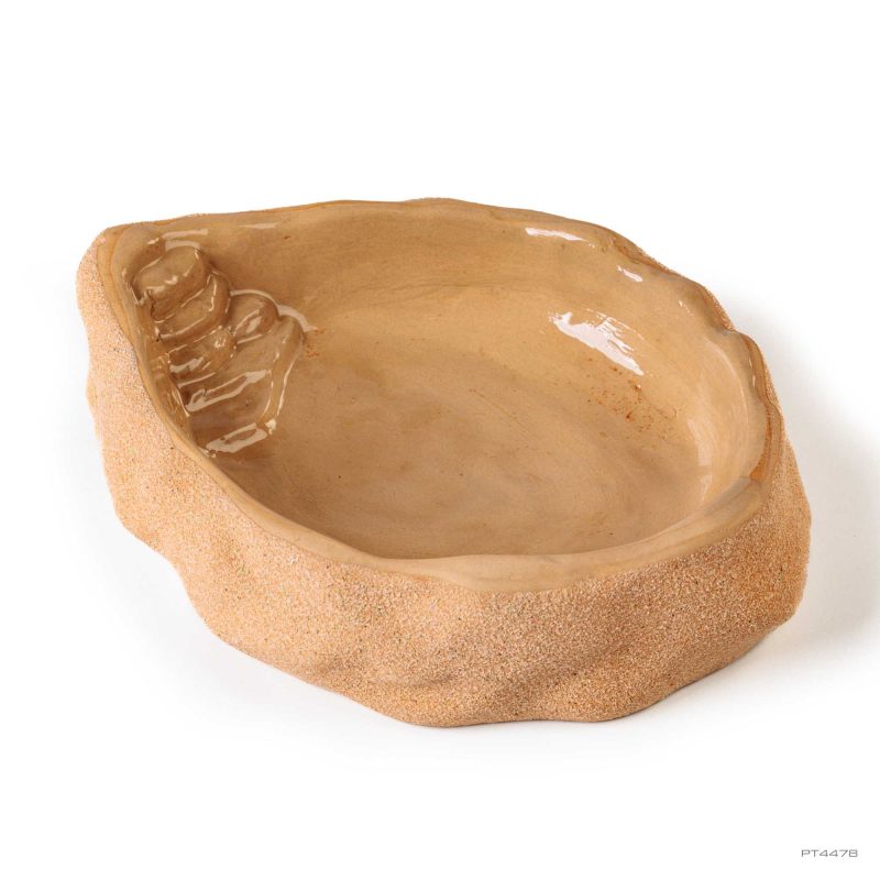 exo-terra-terrarium-dish-large-wasserschale-f-r-schildkr-ten-terrarium image 1
