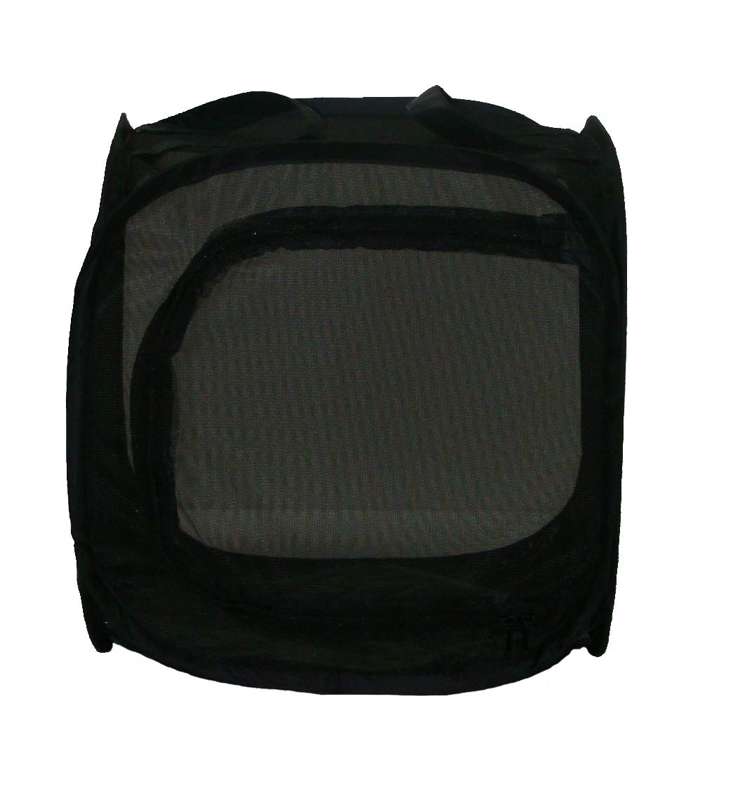 lucky-reptile-openair-vivarium-pop-up-30-x-30-x-30-cm-freiluft-terrarium image 3