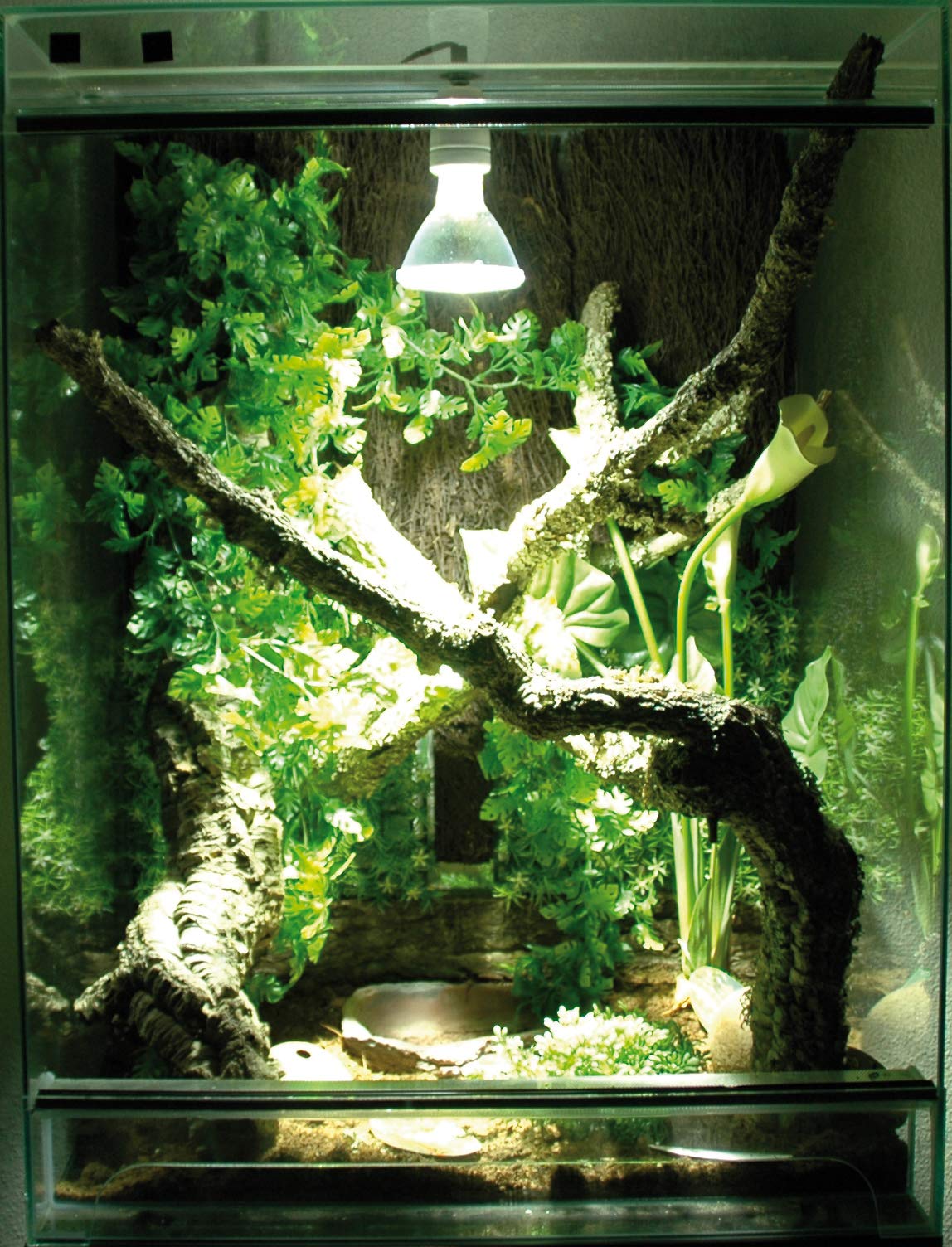 lucky-reptile-bright-control-evo-vorschaltger-t-35-watt image 4