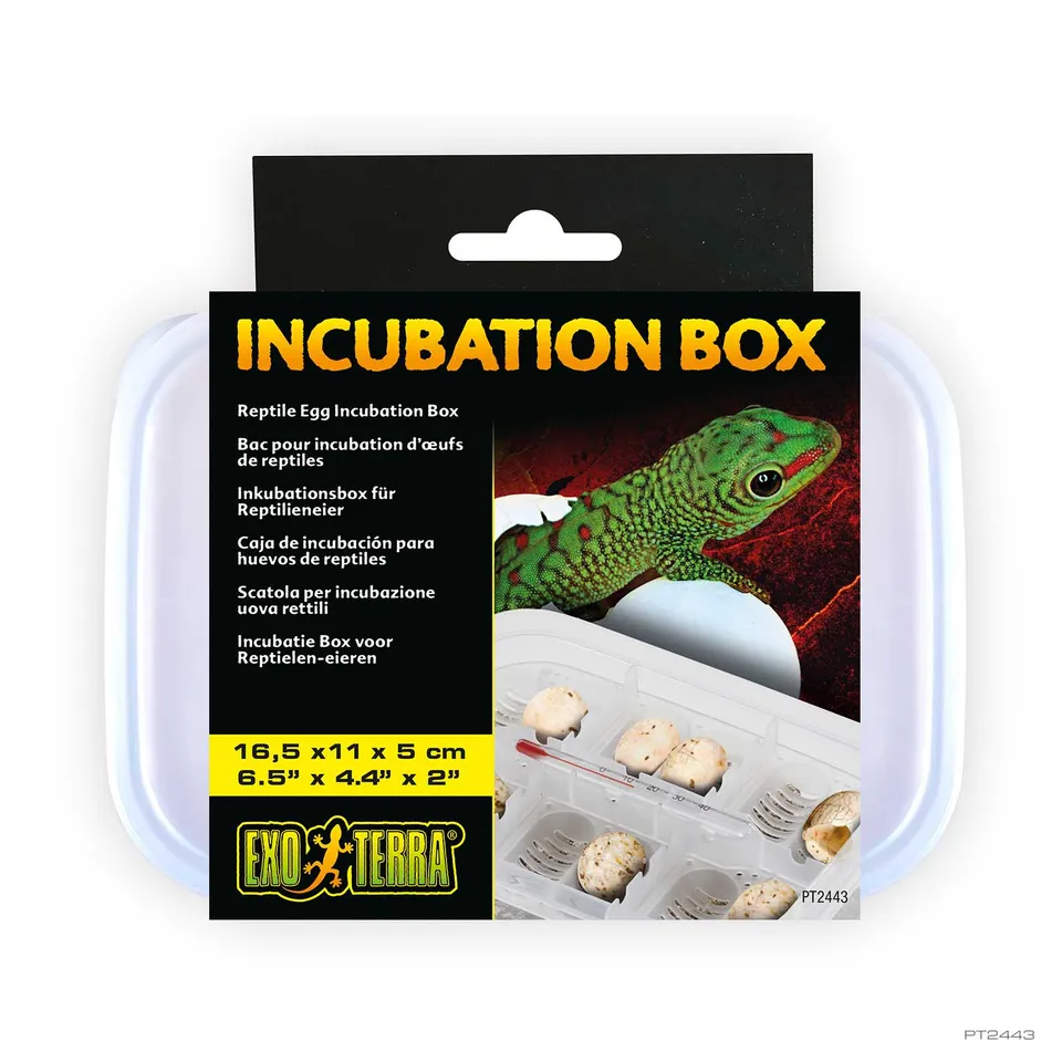 exo-terra-incubation-box-inkubationsbox-f-r-reptilieneier image 1